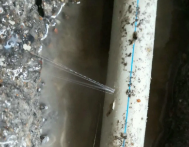 上犹测漏水哪家好