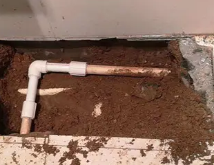 上犹测漏水哪家好