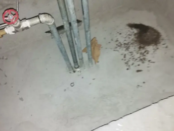 上犹卫生间测漏水价格明细