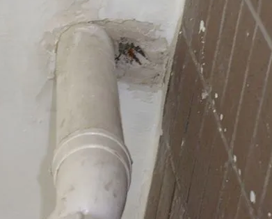 上犹漏水检测哪家好